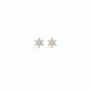 Seville-Jewelry-stjerne-oereringe-i-forgyldt-med-zirkonia-sten