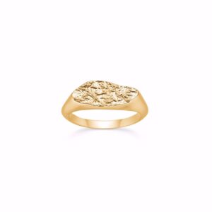 Seville Jewelry forgyldt sølv ring med rustik plade - 2654
