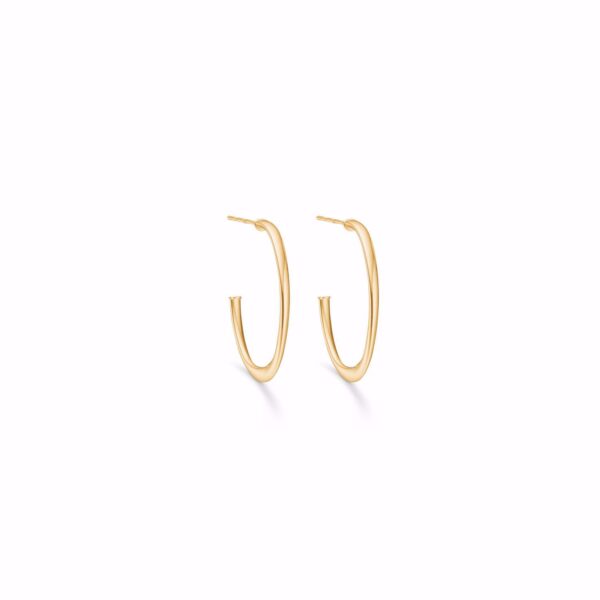 Ovale creoler 8 karat guld 2,8cm x 2,0 cm - Guld & Sølv Design 5704/08
