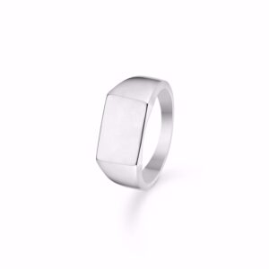 Herre ring i sølv - Plade/Signet - 2645