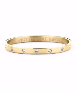 guldfarvet stål armring med 4mm klare zirkonia sten