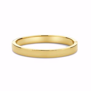 CO88 armring guldbelagt stål 8CB-91324