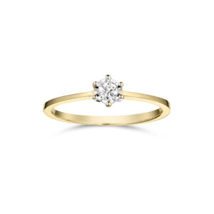 Diamantring i 8 karat guld med 0,10 ct diamant og 6 grabber.